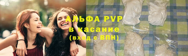 молекула духа Белоозёрский