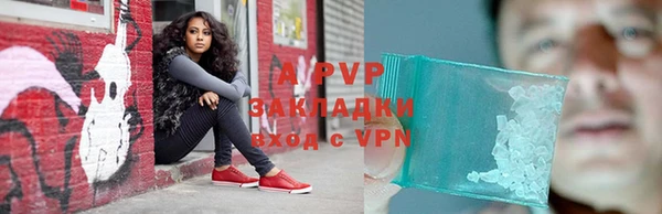 молекула духа Белоозёрский