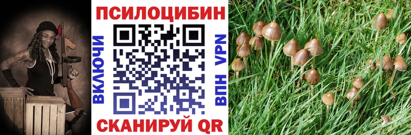 Галлюциногенные грибы прущие грибы  как найти наркотики  KRAKEN ССЫЛКА  Уссурийск 